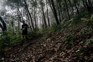 BIB: 
                            <button type="button" onclick="openModal(22792092)" class="btn btn-primary btn-sm float-right btn-popup" data-toggle="modal" data-target=".modal-high-quality">
                        <i class="fas fa-shopping-cart"></i> Add to Cart
                    </button>
                                            <button type="button" onclick="isThisMe(22792092, true)" class="btn btn-success btn-sm float-right btn-popup btn-isme hidden" data-toggle="tooltip" data-placement="bottom" title="นี่คือรูปของคุณใช่ไหม คลิกที่นี่เพื่อเอาเข้าอัลบั้ม">
                        <i class="fas fa-plus"></i> Add to album
                    </button>
                    <button type="button" onclick="isThisMe(22792092, false)" class="btn btn-warning btn-sm float-right btn-popup btn-isnotme hidden">
                        <i class="fas fa-ban"></i> Remove from album
                    </button>